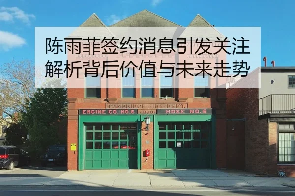 陈雨菲签约消息引发关注 解析背后价值与未来走势