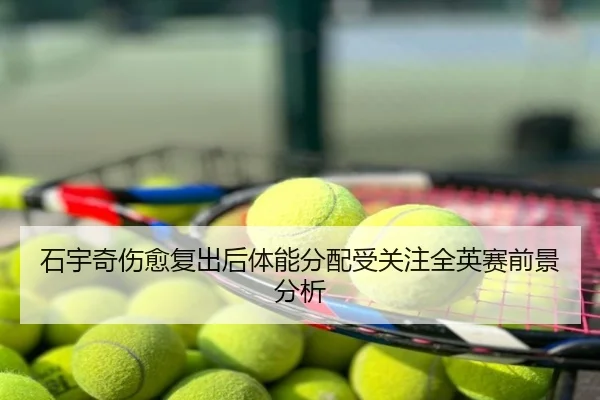 石宇奇伤愈复出后体能分配受关注全英赛前景分析